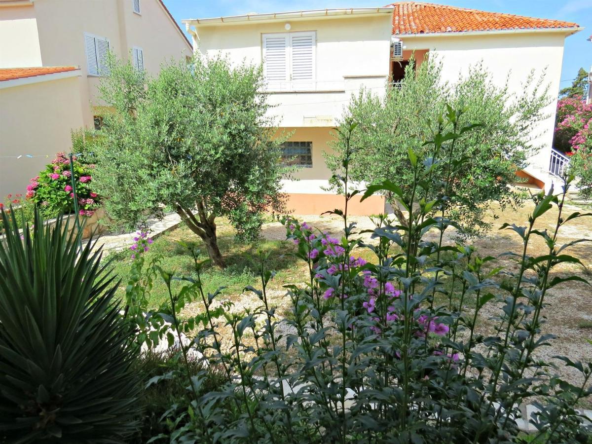 Apartments Edo Novalja Exterior photo